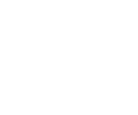 Icône